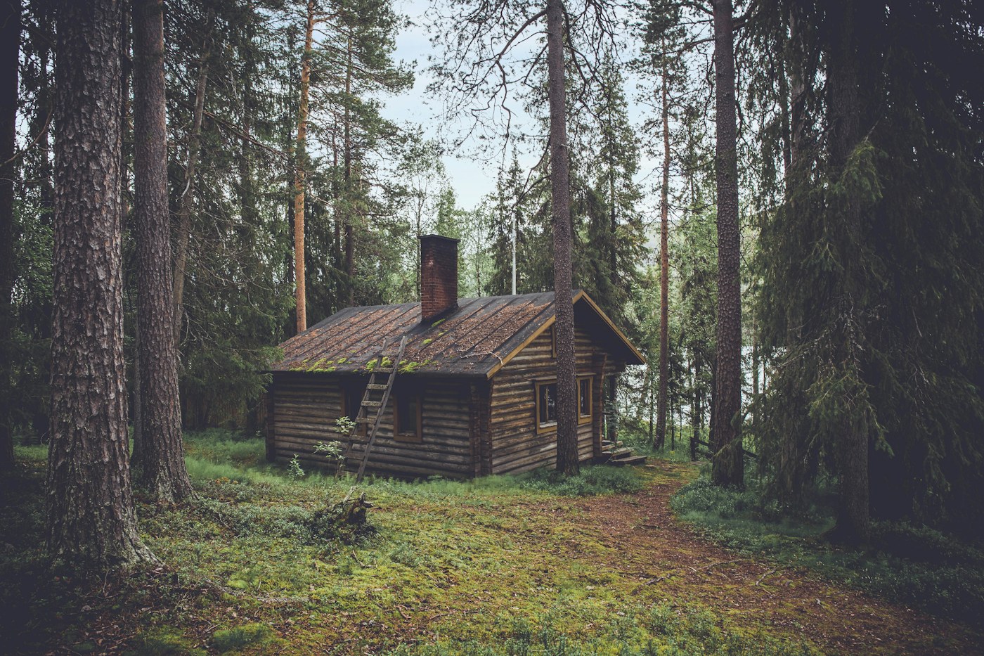 The Laurel Nest Cabin — cabin style inspiration for London, Kentucky